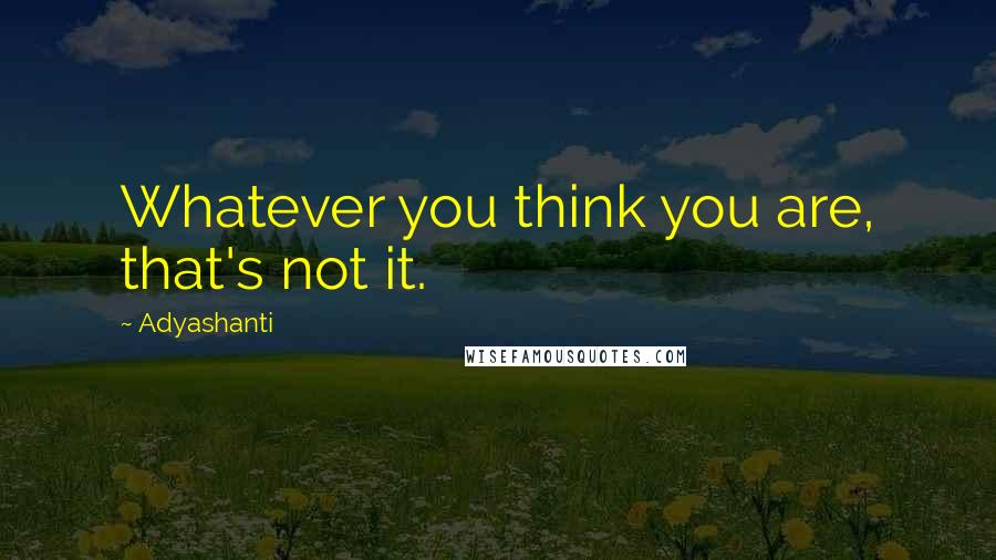 Adyashanti quotes: Whatever you think you are, that's not it.