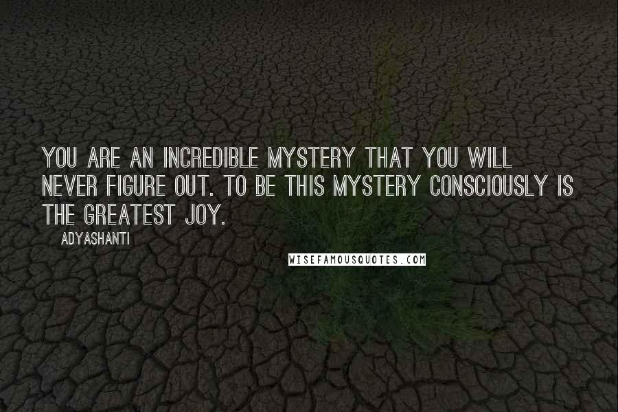 Adyashanti quotes: You are an incredible mystery that you will never figure out. To be this mystery consciously is the greatest joy.