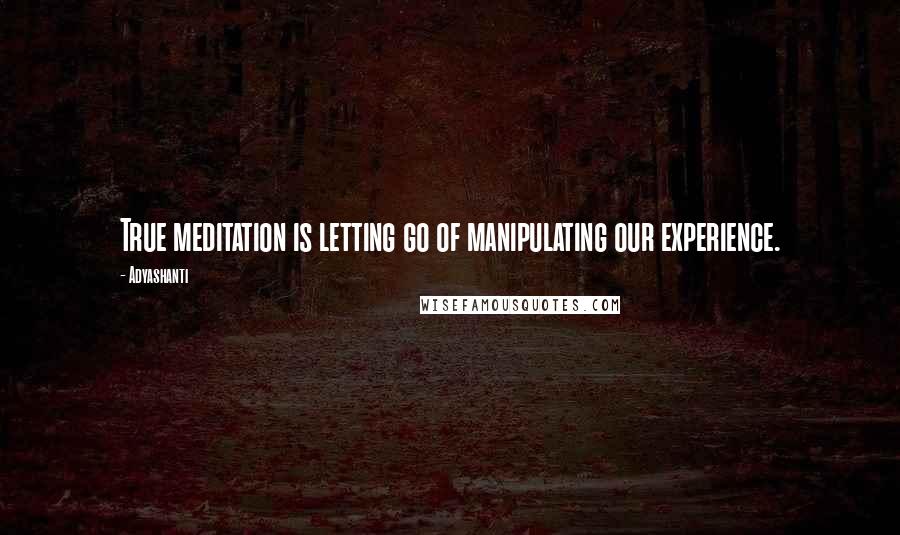 Adyashanti quotes: True meditation is letting go of manipulating our experience.