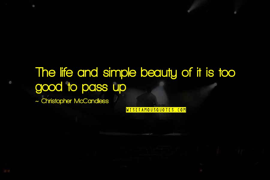 Adzap Quotes By Christopher McCandless: The life and simple beauty of it is