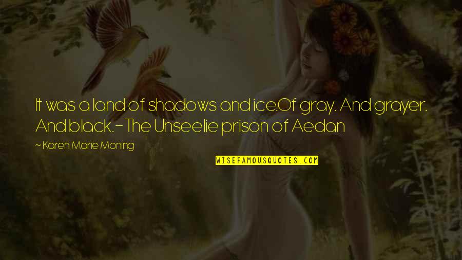 Aedan Quotes By Karen Marie Moning: It was a land of shadows and ice.Of