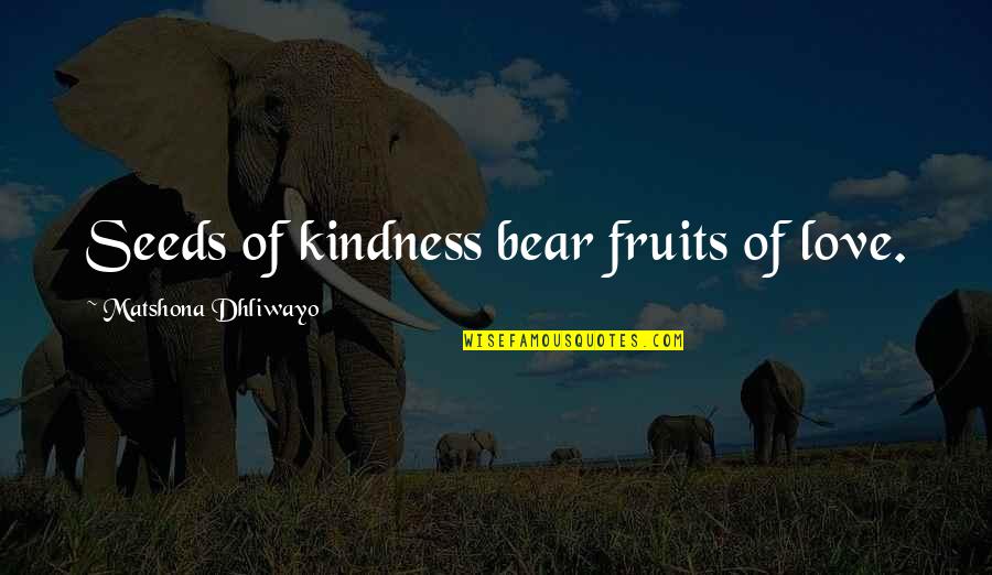 Aeiouys Quotes By Matshona Dhliwayo: Seeds of kindness bear fruits of love.