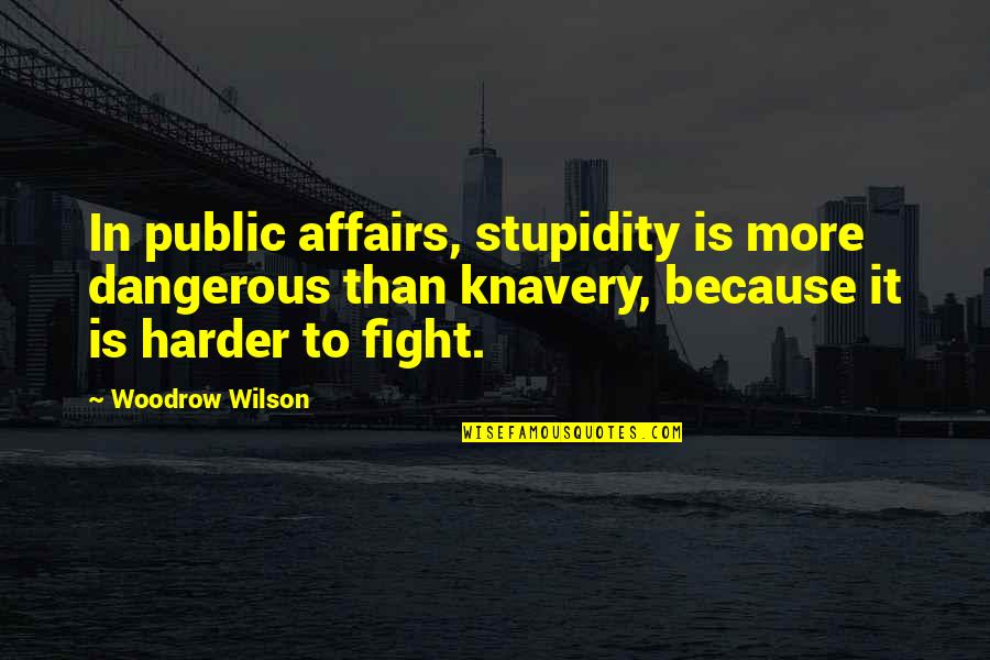Aelin Throne Quotes By Woodrow Wilson: In public affairs, stupidity is more dangerous than Aelin Throne Quotes By Woodrow Wilson: In public affairs, stupidity is more dangerous than