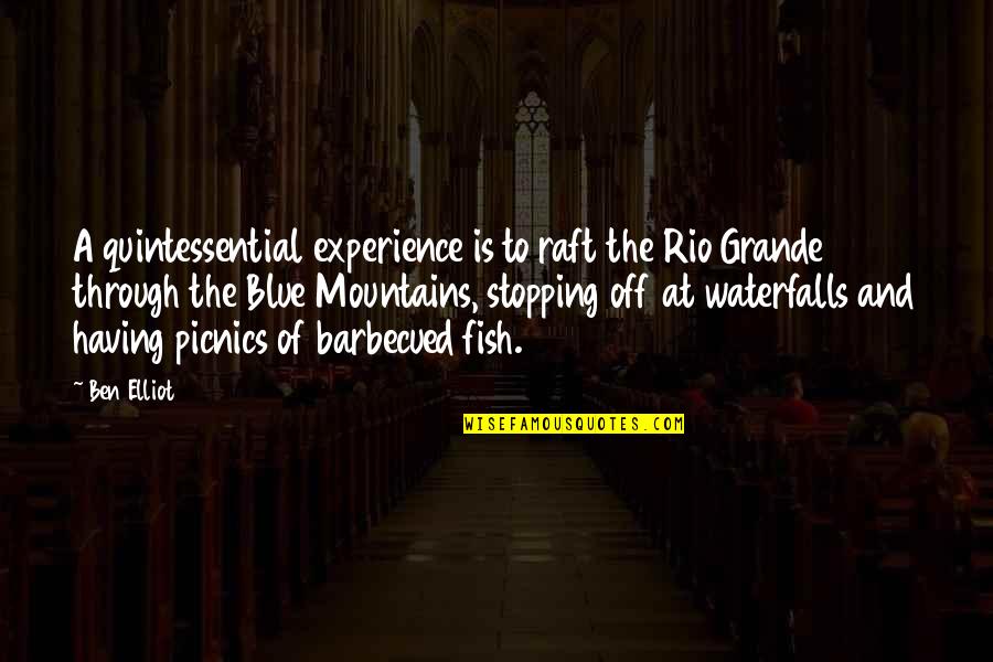 Aemilianus Emperor Quotes By Ben Elliot: A quintessential experience is to raft the Rio Aemilianus Emperor Quotes By Ben Elliot: A quintessential experience is to raft the Rio