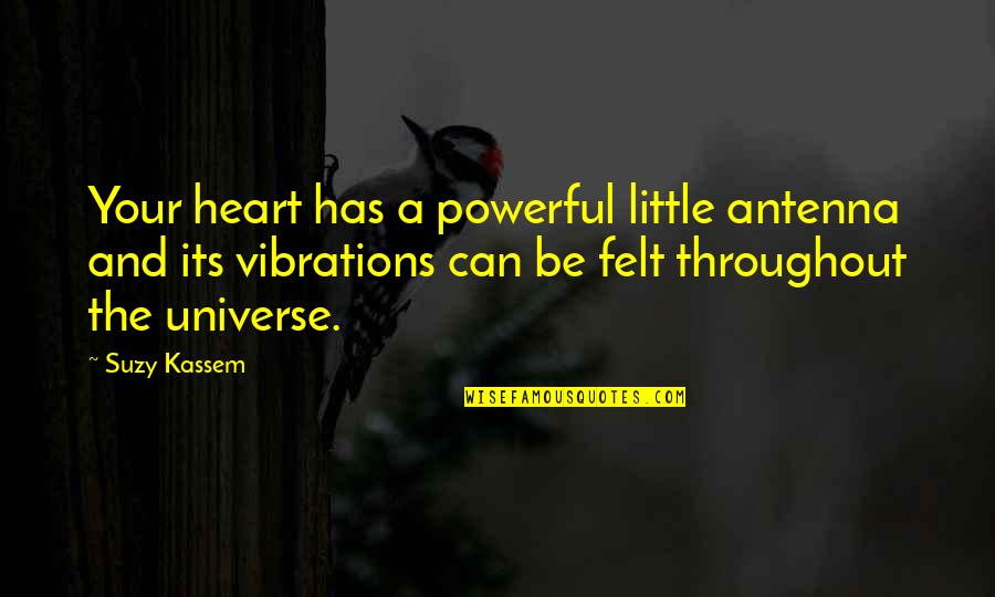 Aereo Quotes By Suzy Kassem: Your heart has a powerful little antenna and