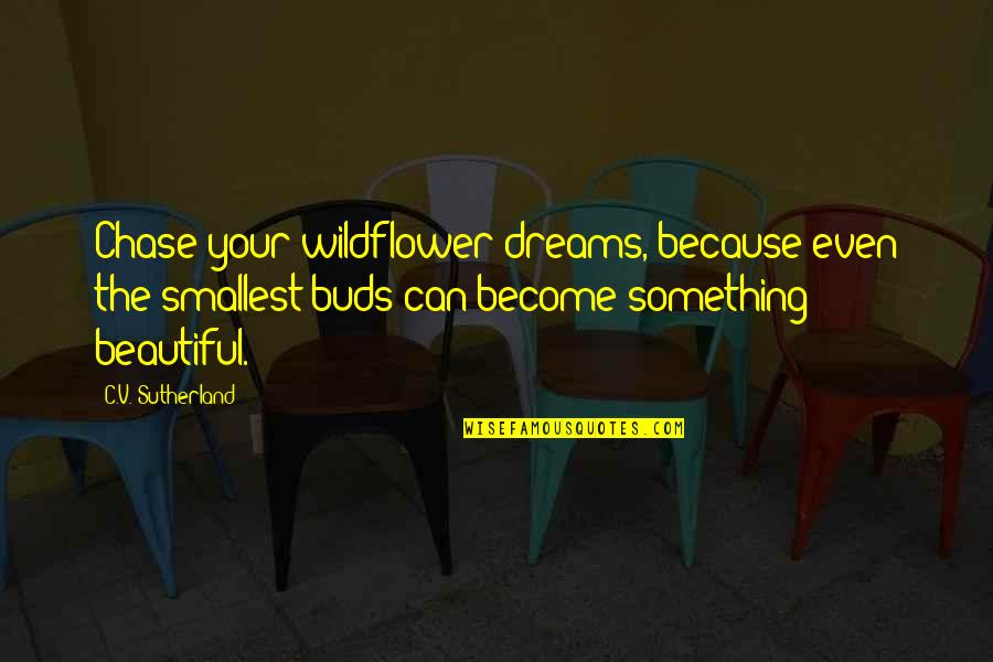 Aerial Acrobatics Quotes By C.V. Sutherland: Chase your wildflower dreams, because even the smallest