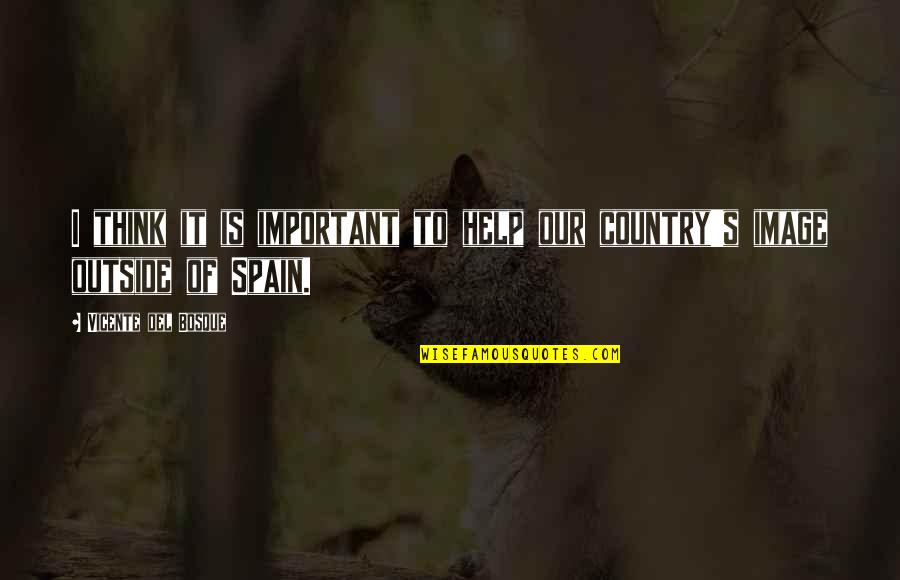 Aerial Perspective Quotes By Vicente Del Bosque: I think it is important to help our Aerial Perspective Quotes By Vicente Del Bosque: I think it is important to help our