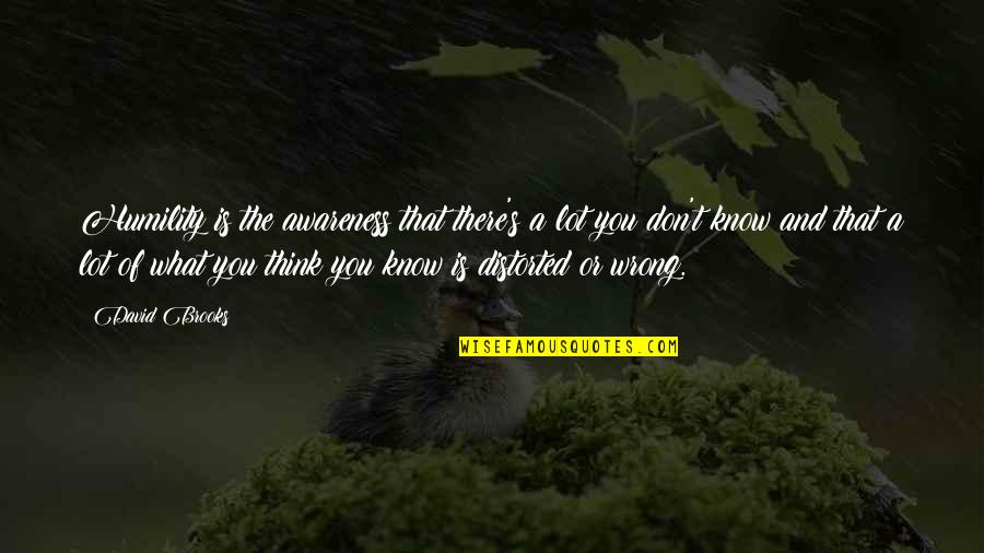 Aericka Quotes By David Brooks: Humility is the awareness that there's a lot Aericka Quotes By David Brooks: Humility is the awareness that there's a lot