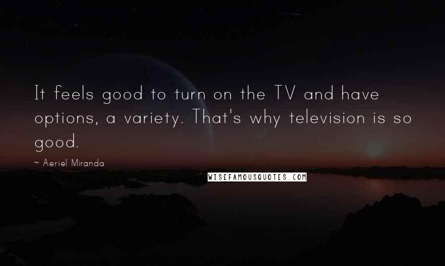 Aeriel Miranda quotes: It feels good to turn on the TV and have options, a variety. That's why television is so good.