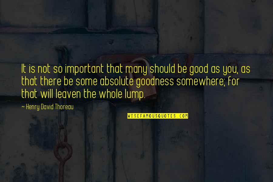 Aerodrome Distillery Quotes By Henry David Thoreau: It is not so important that many should Aerodrome Distillery Quotes By Henry David Thoreau: It is not so important that many should