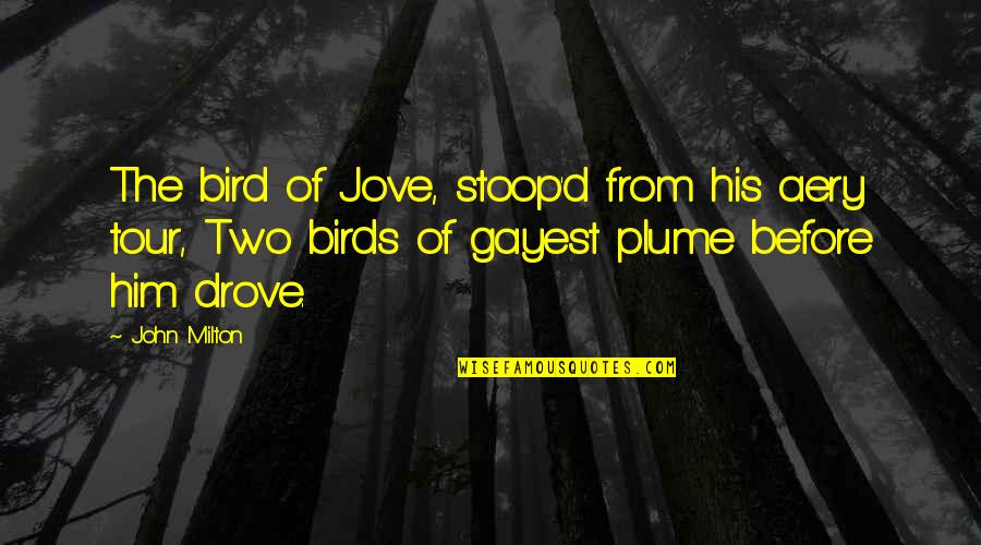 Aery Quotes By John Milton: The bird of Jove, stoop'd from his aery