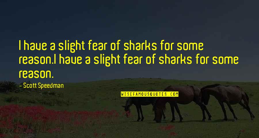 Aeryon Quotes By Scott Speedman: I have a slight fear of sharks for Aeryon Quotes By Scott Speedman: I have a slight fear of sharks for