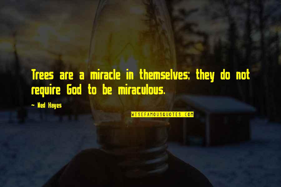 Aesara Quotes By Ned Hayes: Trees are a miracle in themselves; they do