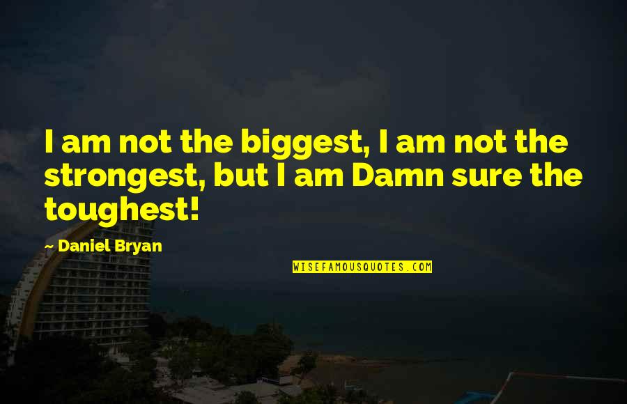 Aeschliman Painting Quotes By Daniel Bryan: I am not the biggest, I am not