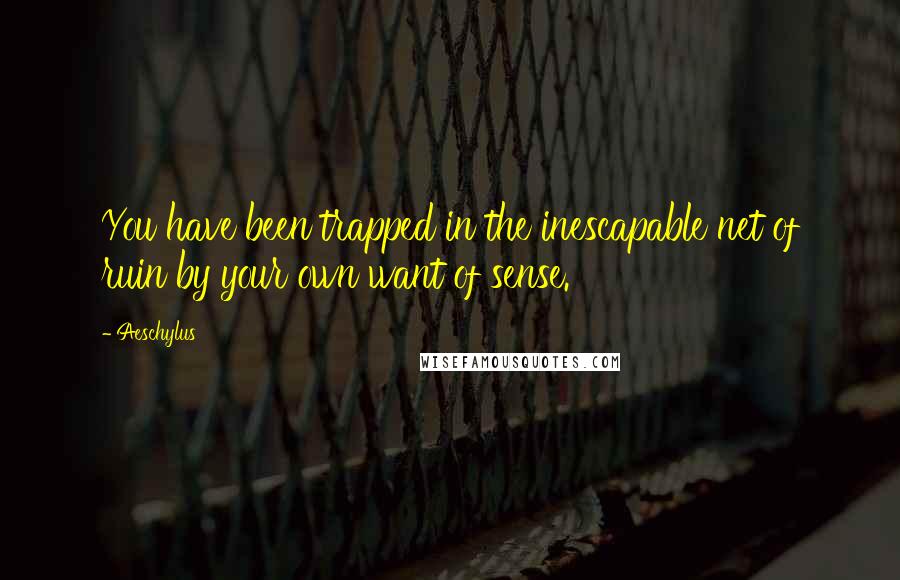 Aeschylus quotes: You have been trapped in the inescapable net of ruin by your own want of sense.