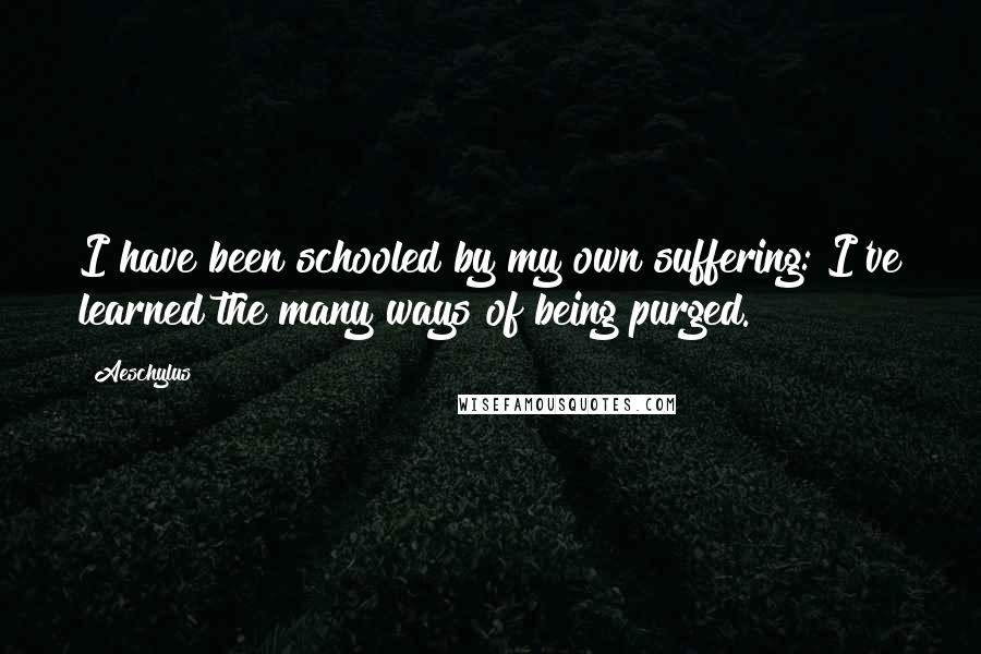 Aeschylus quotes: I have been schooled by my own suffering: I've learned the many ways of being purged.