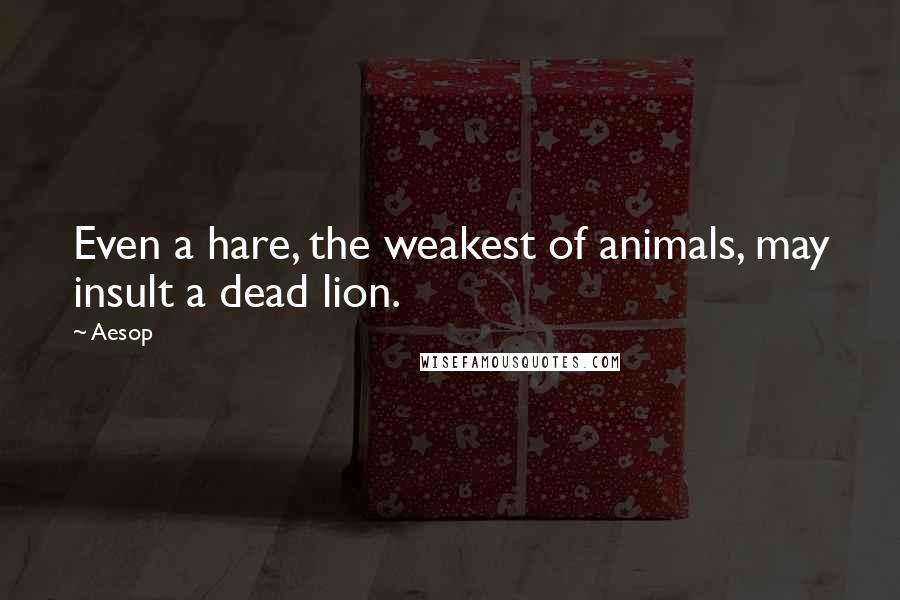 Aesop quotes: Even a hare, the weakest of animals, may insult a dead lion.