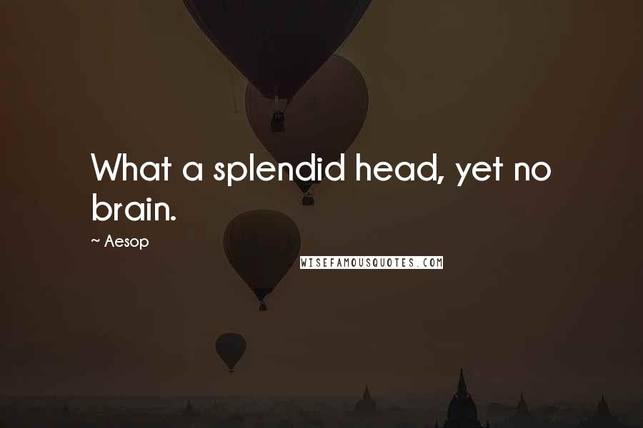 Aesop quotes: What a splendid head, yet no brain.