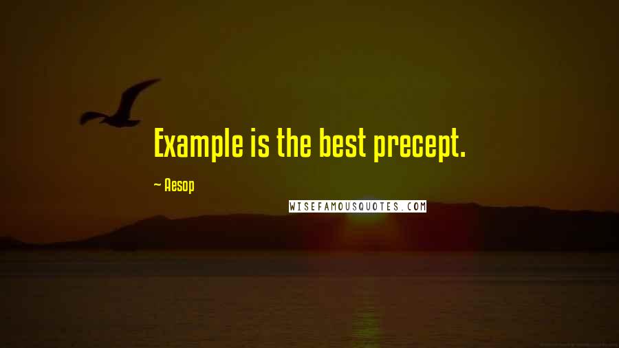 Aesop quotes: Example is the best precept.