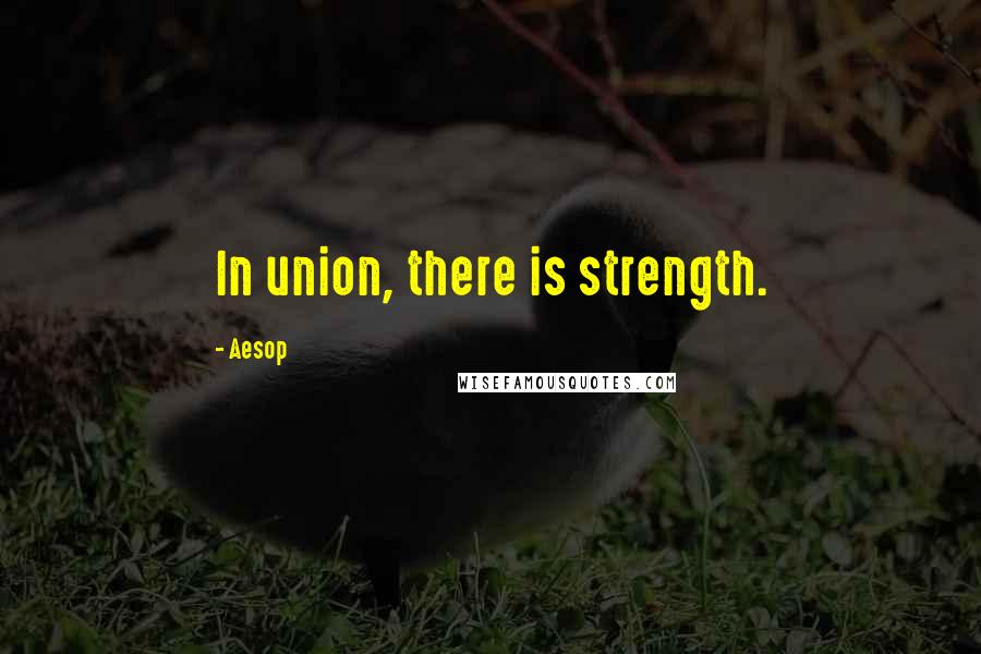 Aesop quotes: In union, there is strength.