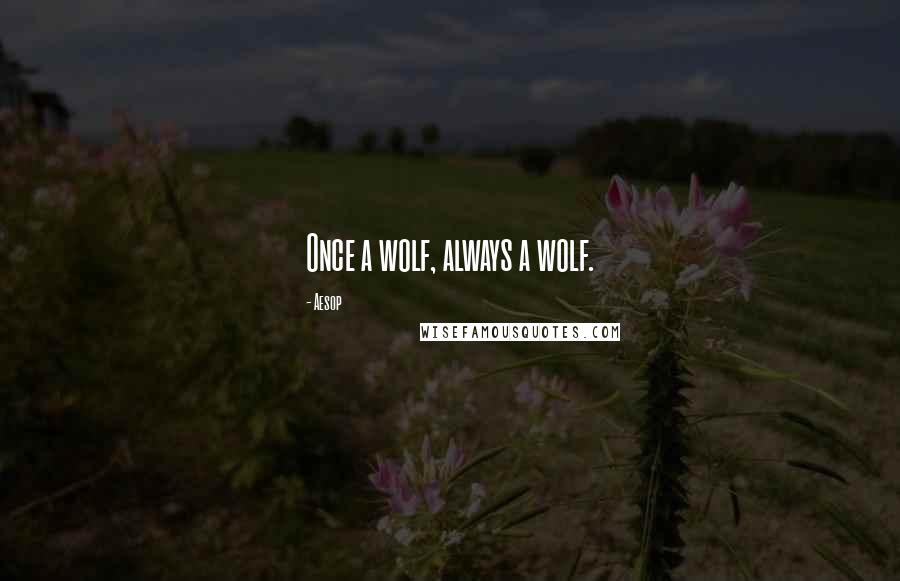 Aesop quotes: Once a wolf, always a wolf.