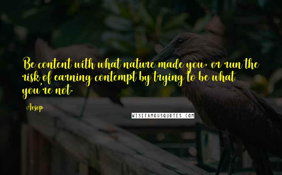 Aesop quotes: Be content with what nature made you, or run the risk of earning contempt by trying to be what you're not.