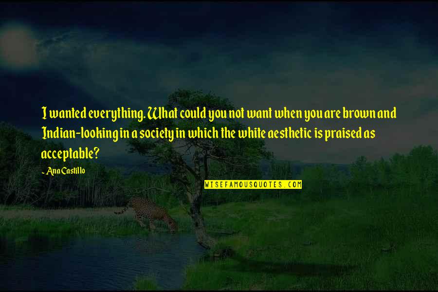 Aesthetic Brown Quotes By Ana Castillo: I wanted everything. What could you not want