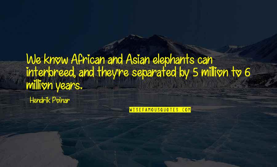 Aesthetic Room Quotes By Hendrik Poinar: We know African and Asian elephants can interbreed,