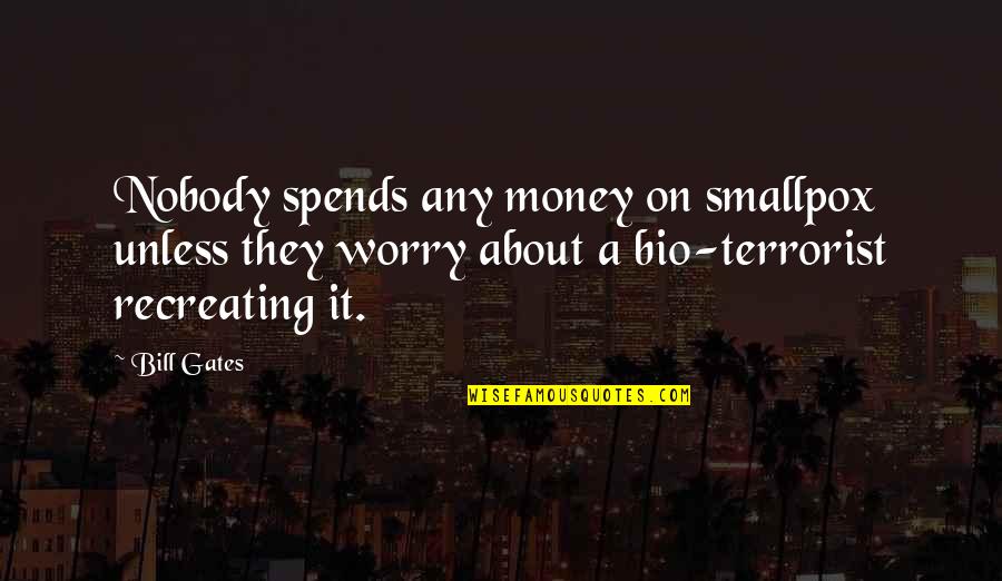 Aesthetic Waves Quotes By Bill Gates: Nobody spends any money on smallpox unless they
