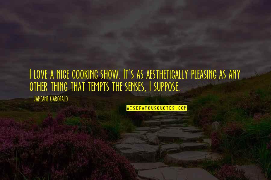 Aesthetically Quotes By Janeane Garofalo: I love a nice cooking show. It's as
