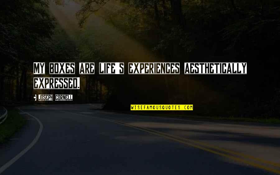 Aesthetically Quotes By Joseph Cornell: My boxes are life's experiences aesthetically expressed.