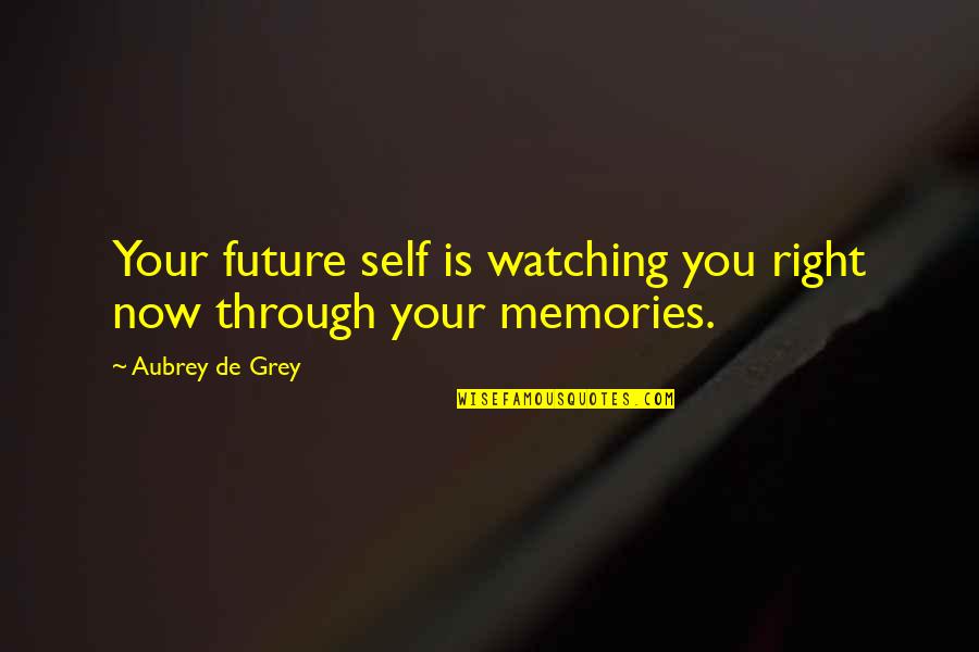 Aestheticism Quotes By Aubrey De Grey: Your future self is watching you right now