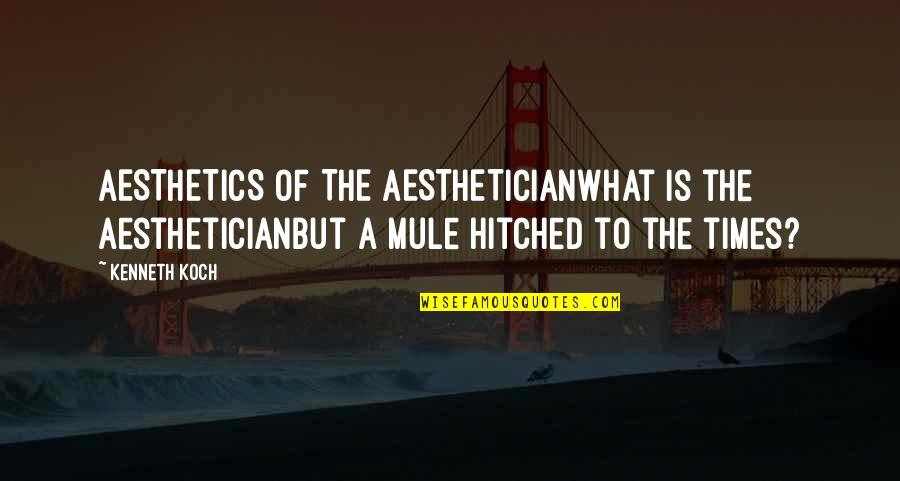 Aesthetics Quotes By Kenneth Koch: AESTHETICS OF THE AESTHETICIANWhat is the aestheticianBut a