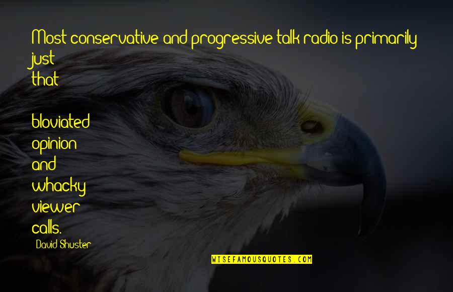 Aetherstone Quotes By David Shuster: Most conservative and progressive talk radio is primarily