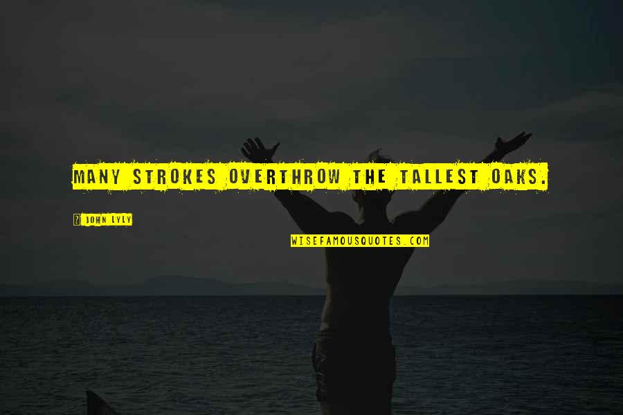 Afain Moveie Quotes By John Lyly: Many strokes overthrow the tallest oaks. Afain Moveie Quotes By John Lyly: Many strokes overthrow the tallest oaks.