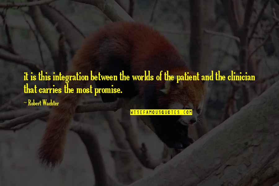 Afanana Quotes By Robert Wachter: it is this integration between the worlds of Afanana Quotes By Robert Wachter: it is this integration between the worlds of