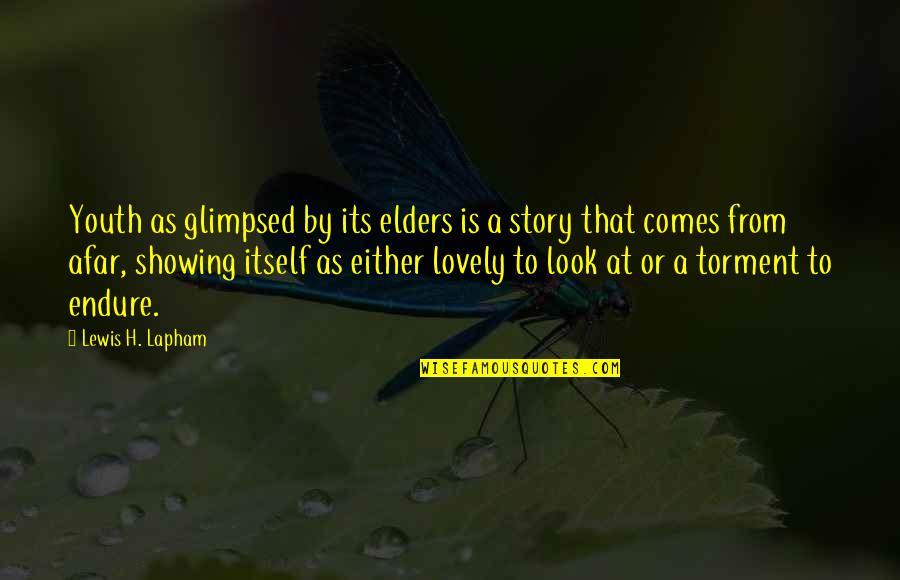 Afar Quotes By Lewis H. Lapham: Youth as glimpsed by its elders is a