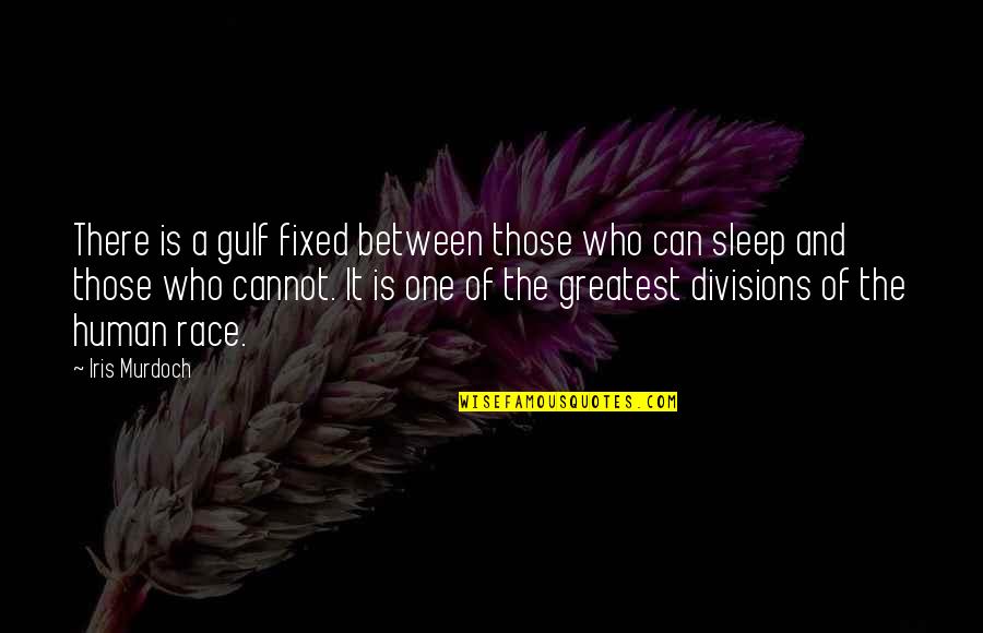 Afatia Thompson Quotes By Iris Murdoch: There is a gulf fixed between those who