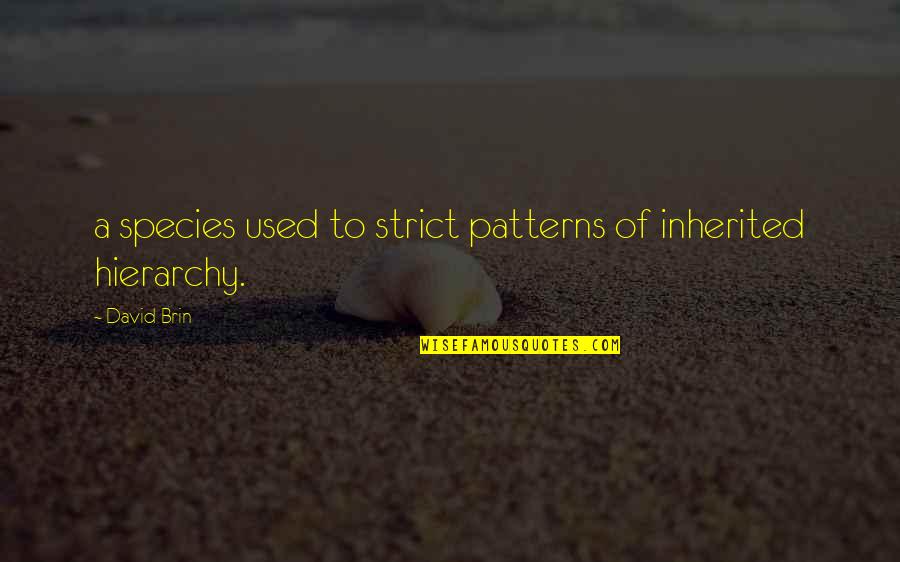 Afeef Roblox Quotes By David Brin: a species used to strict patterns of inherited