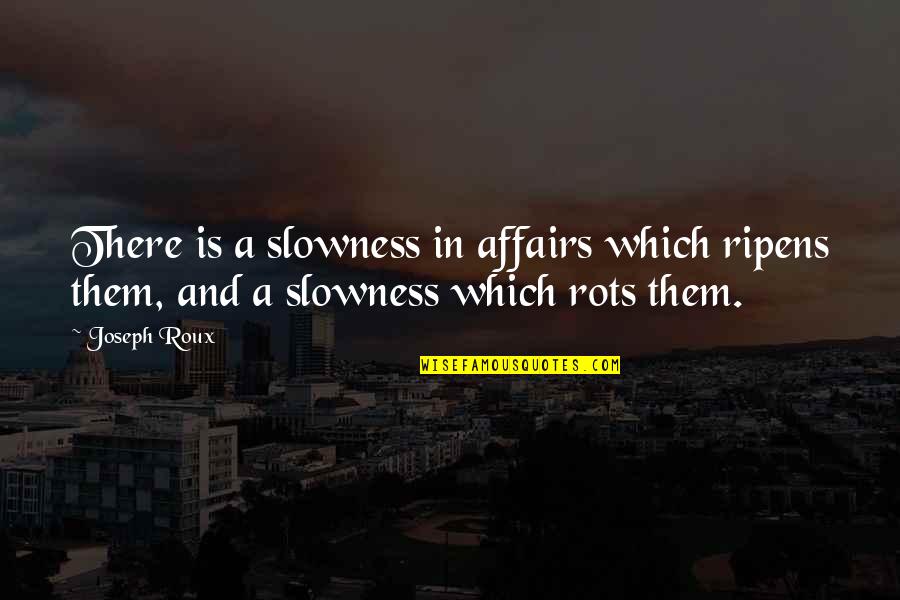 Affairs Quotes By Joseph Roux: There is a slowness in affairs which ripens