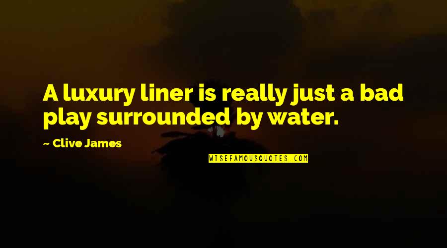 Affandi Adalah Quotes By Clive James: A luxury liner is really just a bad