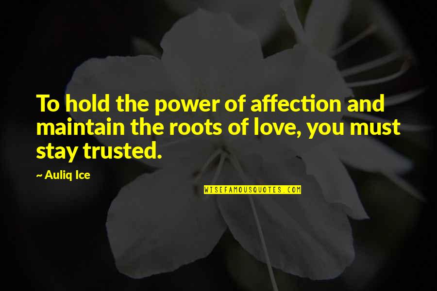 Affection And Love Quotes By Auliq Ice: To hold the power of affection and maintain