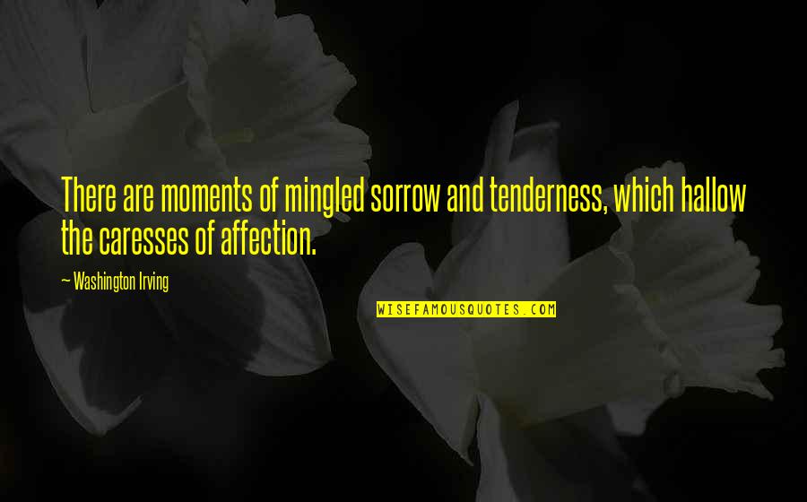 Affection And Tenderness Quotes By Washington Irving: There are moments of mingled sorrow and tenderness,