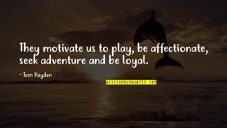 Affectionate Quotes By Tom Hayden: They motivate us to play, be affectionate, seek