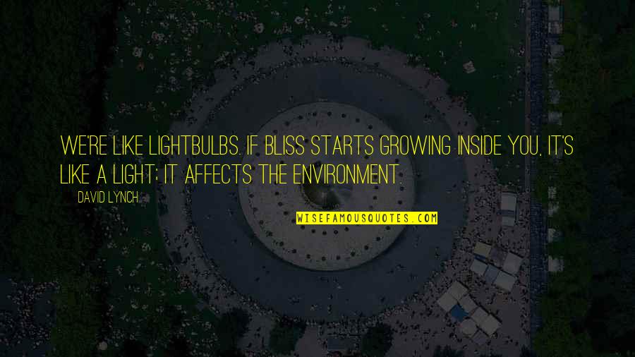 Affects Quotes By David Lynch: We're like lightbulbs. If bliss starts growing inside