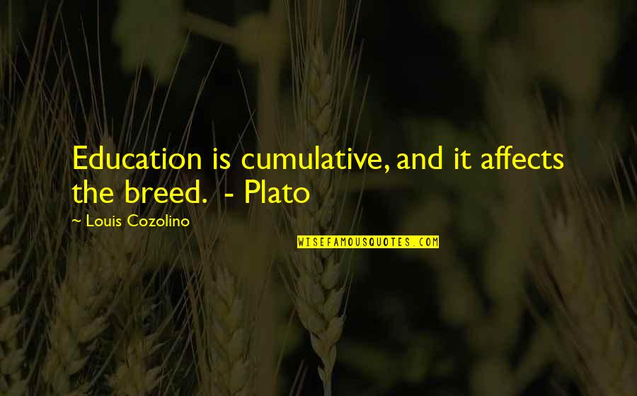 Affects Quotes By Louis Cozolino: Education is cumulative, and it affects the breed.