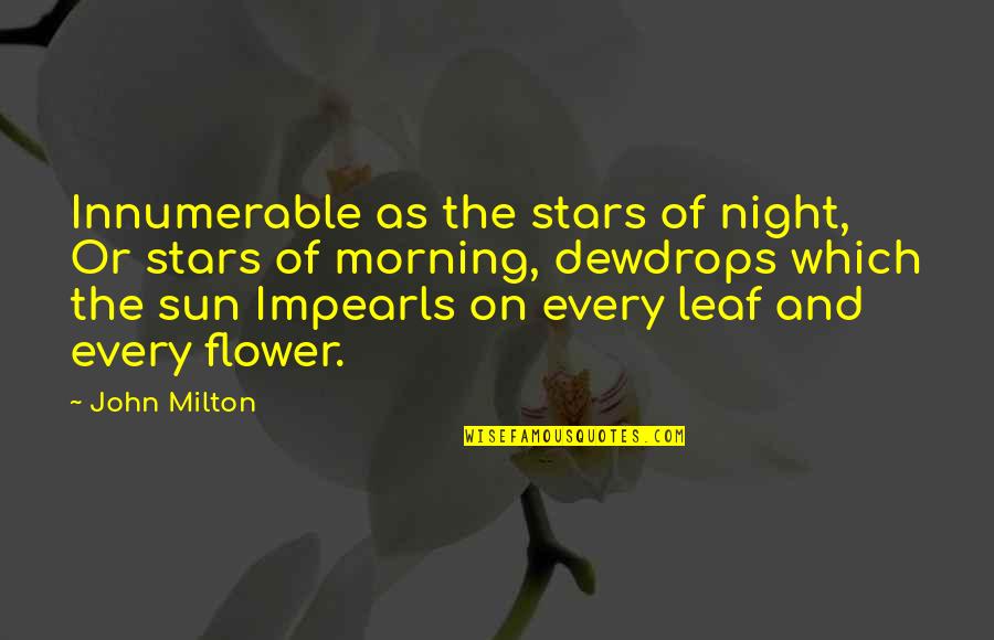 Affif Ben Badra Quotes By John Milton: Innumerable as the stars of night, Or stars
