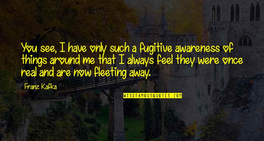 Affinities Tagaytay Quotes By Franz Kafka: You see, I have only such a fugitive