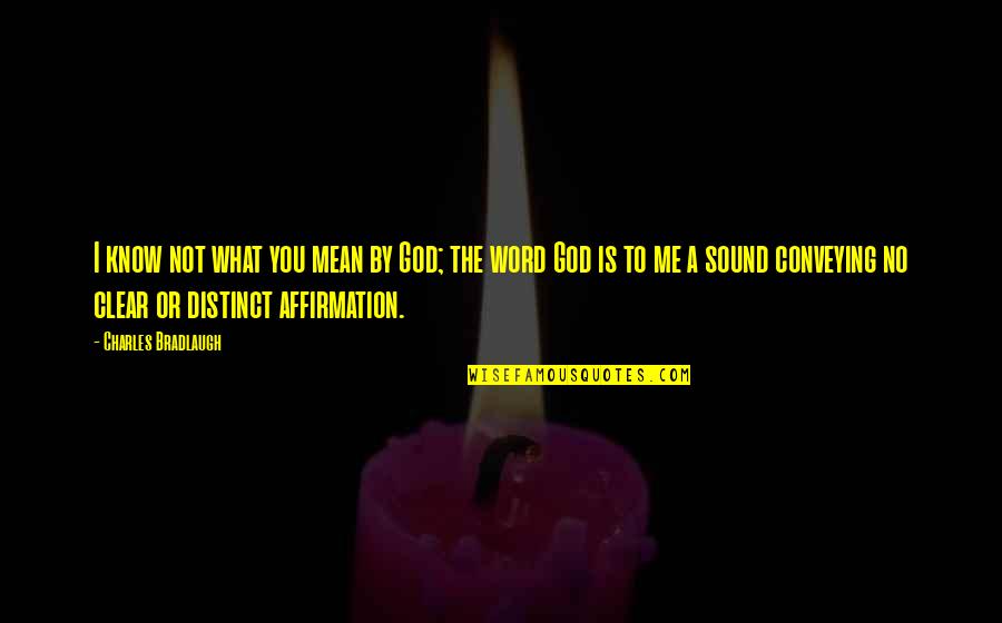 Affirmation Quotes By Charles Bradlaugh: I know not what you mean by God; Affirmation Quotes By Charles Bradlaugh: I know not what you mean by God;
