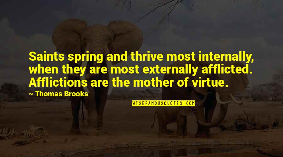 Afflicted Quotes By Thomas Brooks: Saints spring and thrive most internally, when they